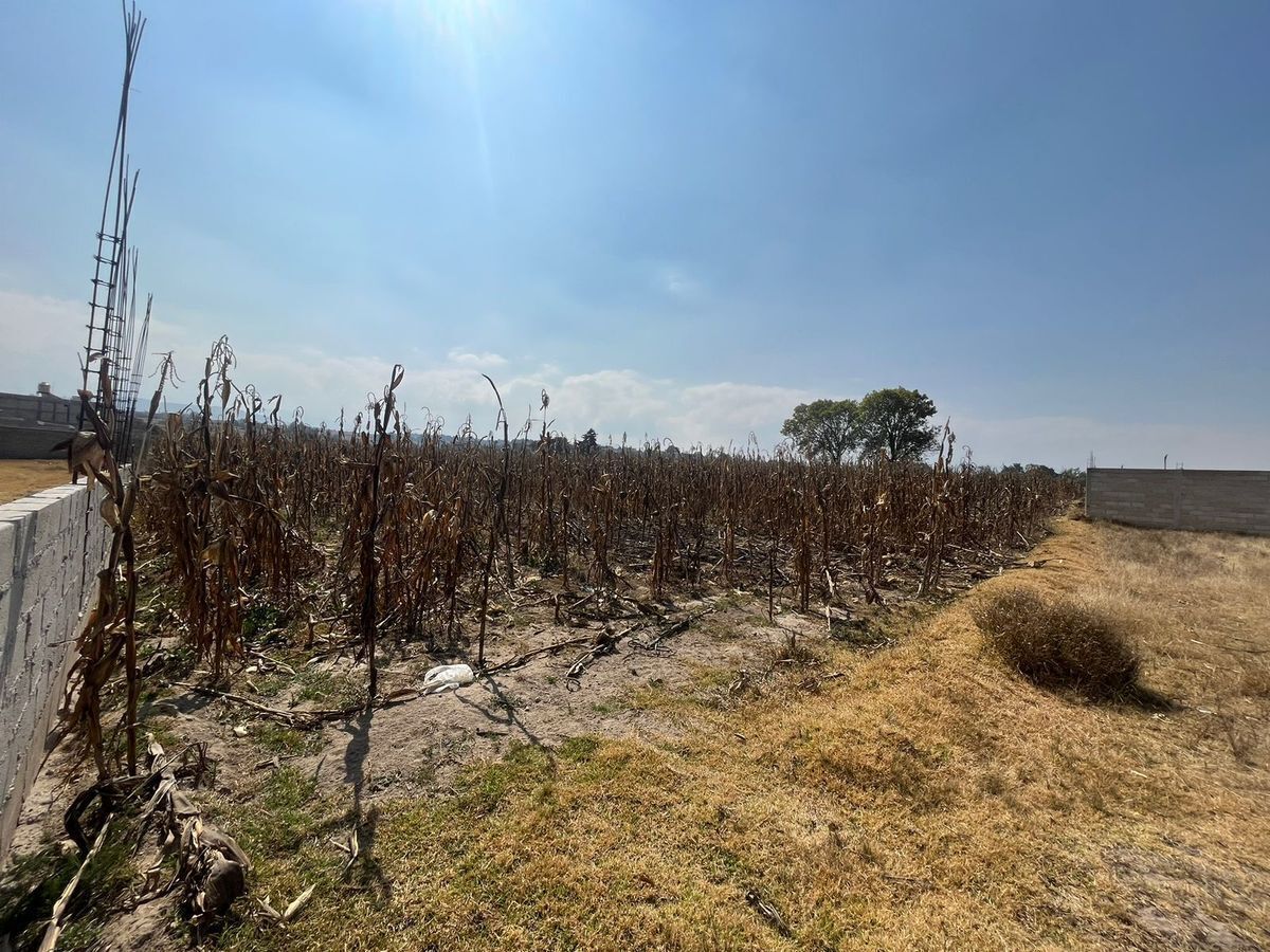 vendo-terreno-en-santa-cruz-cuauhtenco-zinacantepec3-33836