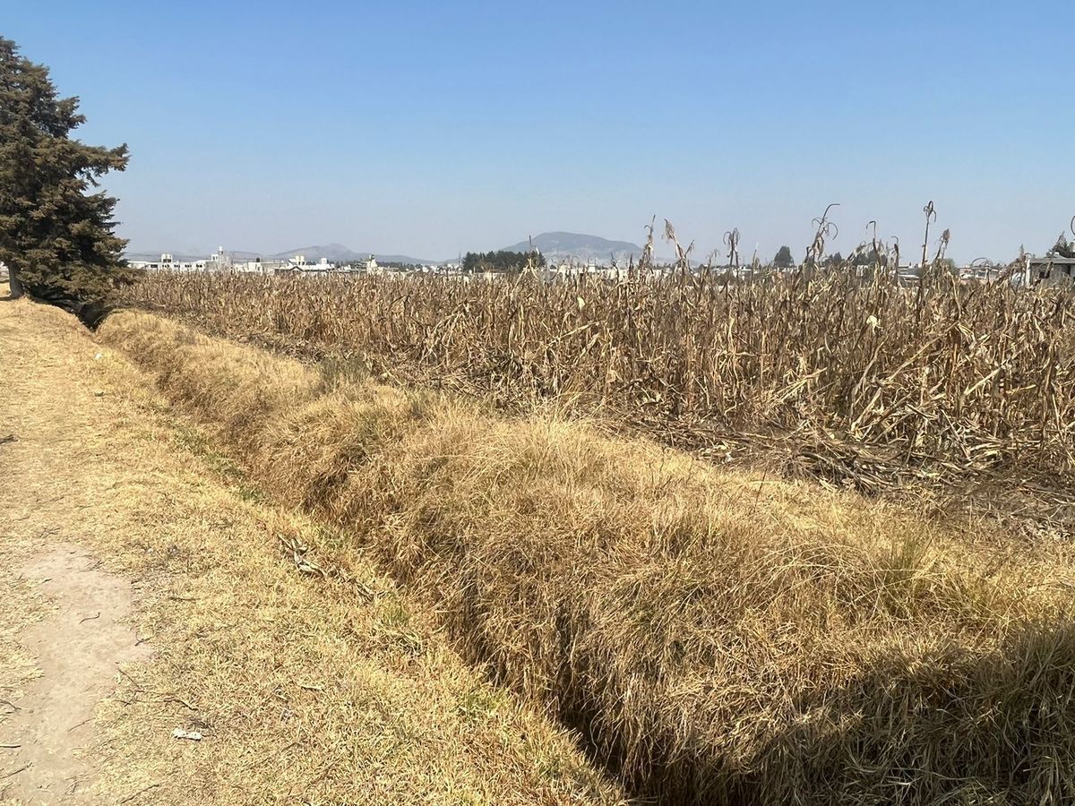 vendo-terreno-en-santa-cruz-cuauhtenco-zinacantepec4-33836