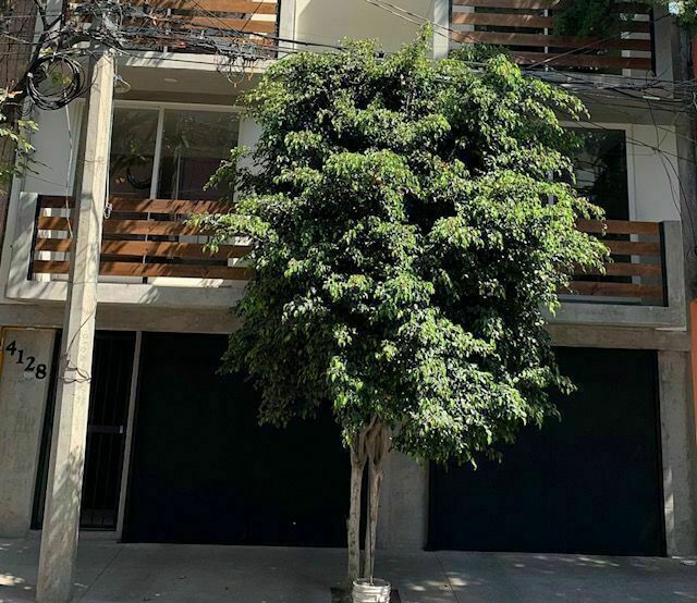 vendo-ultimo-departamento-con-roof-garden-propio-y-balcn26-15767