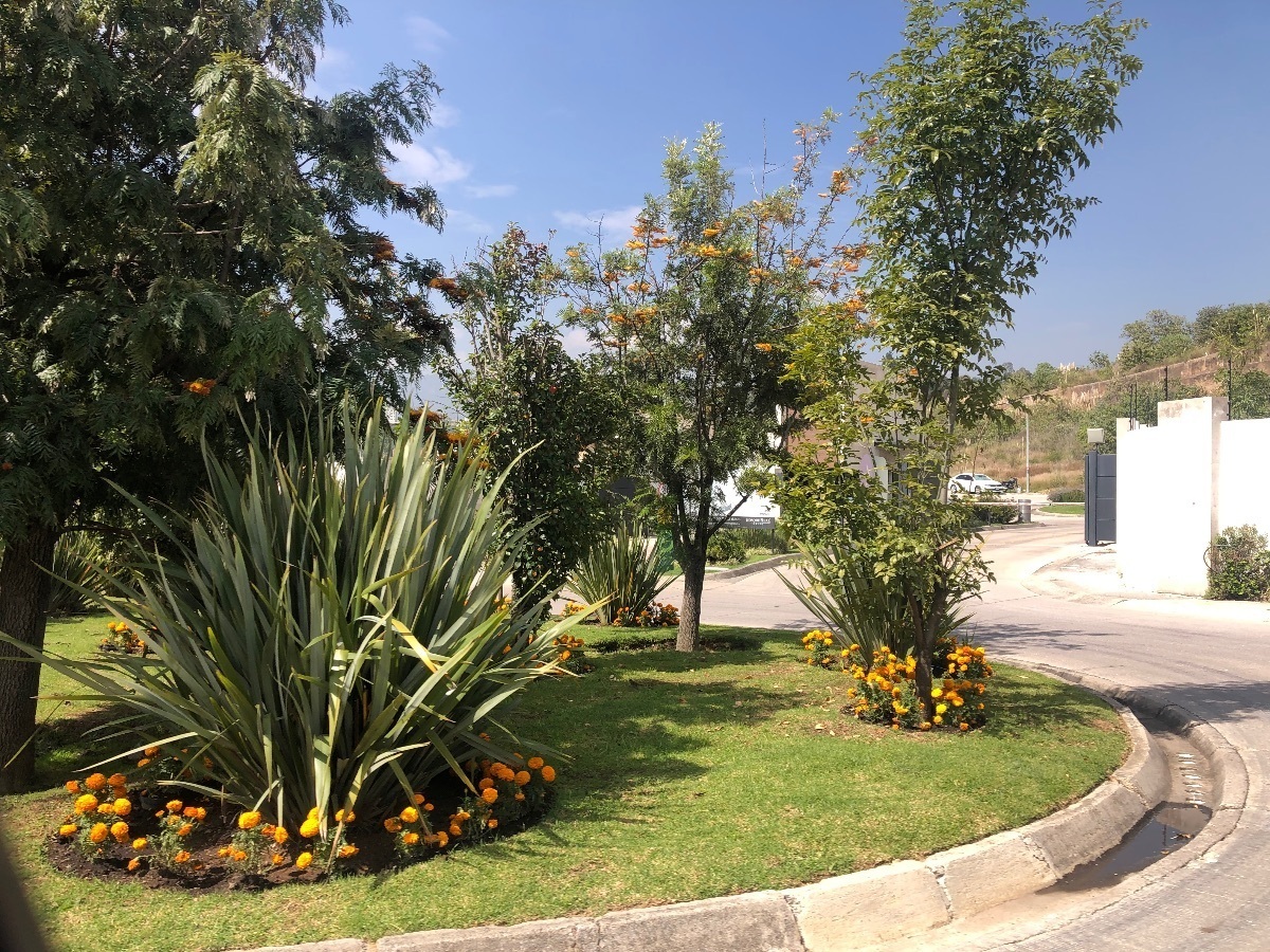 venta--lote--privada-el-secreto-bosque-real5-16219