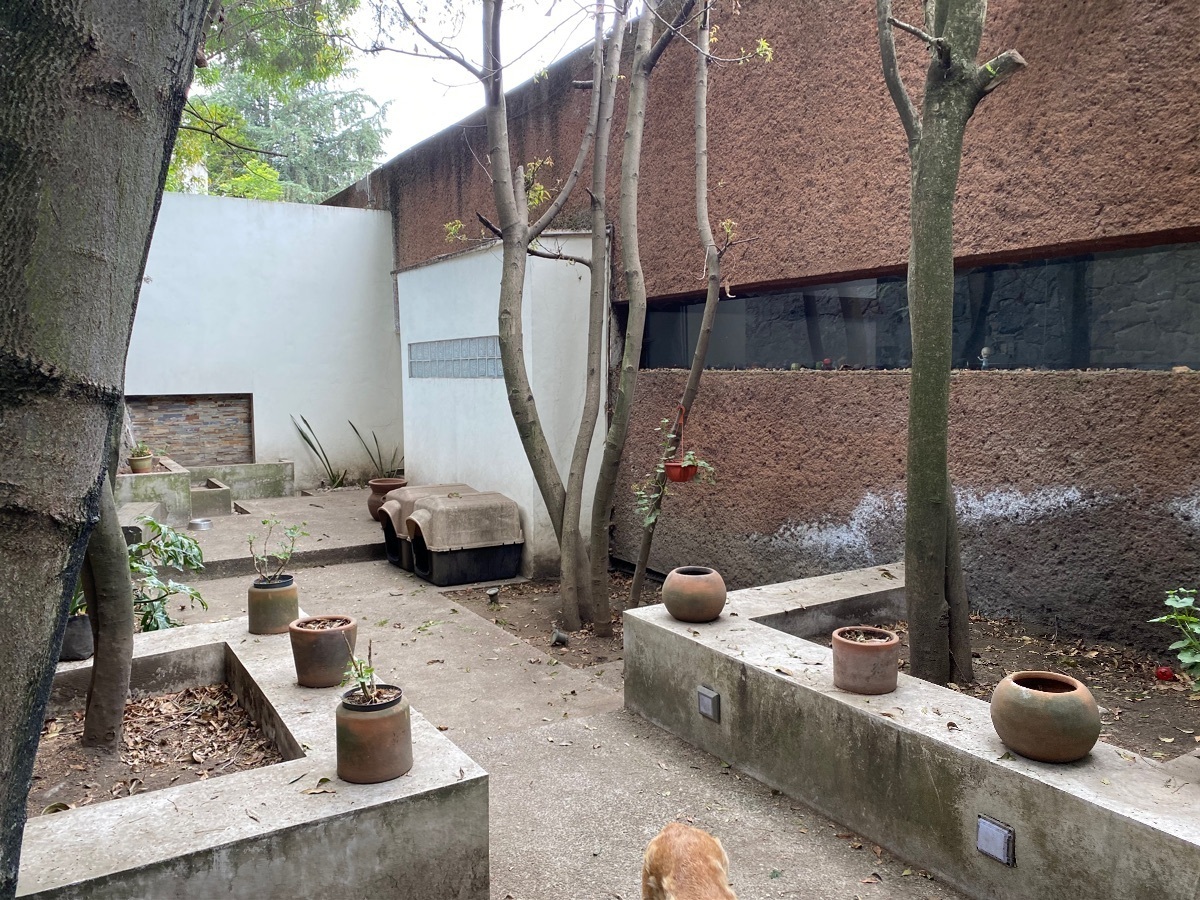 venta-de-casa-sola-en-tlalpan3-31778