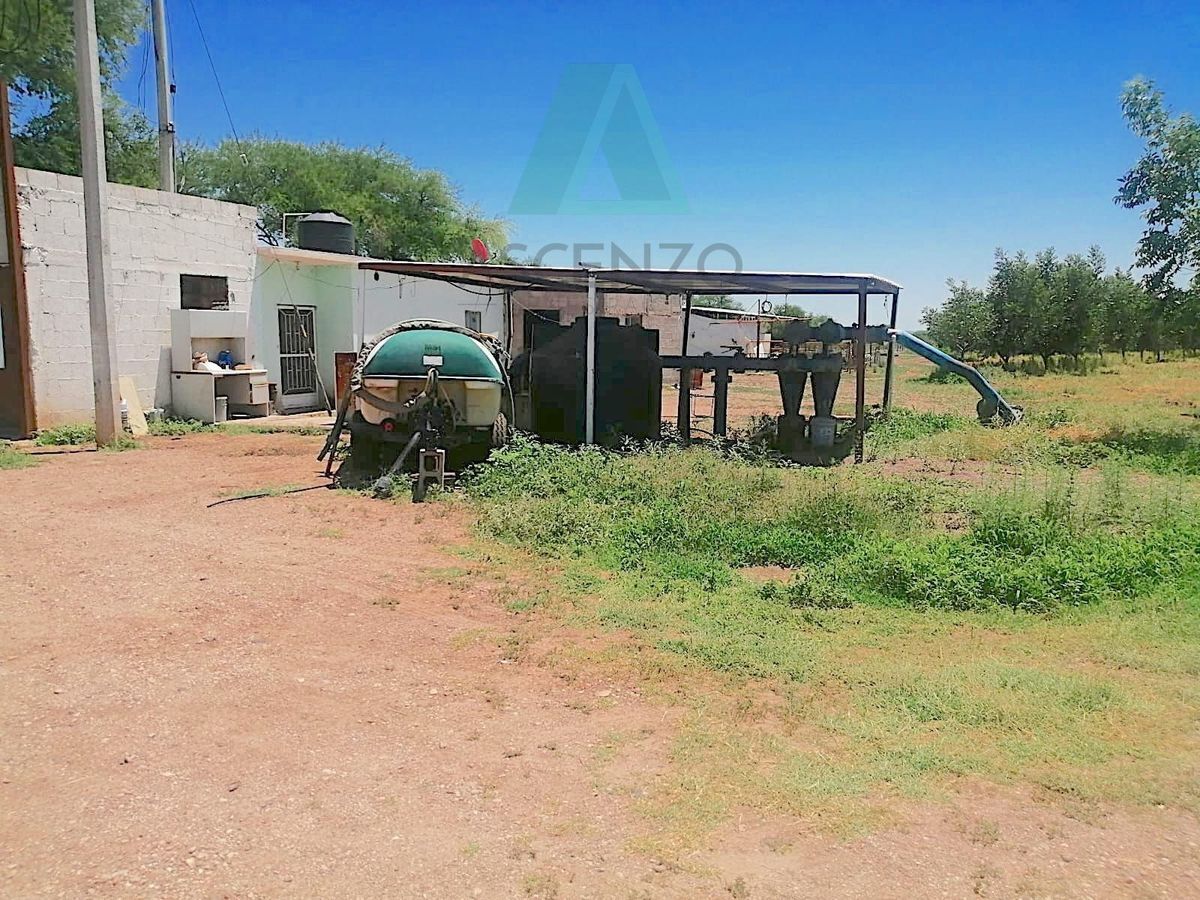 venta-de-nogalera-por-carr-chihuahua---aldama10-33144