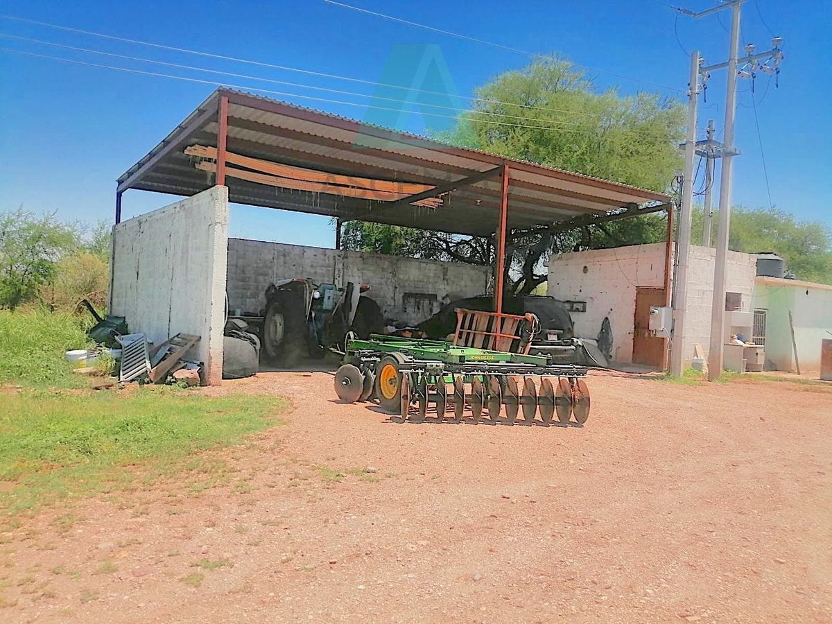 venta-de-nogalera-por-carr-chihuahua---aldama11-33144