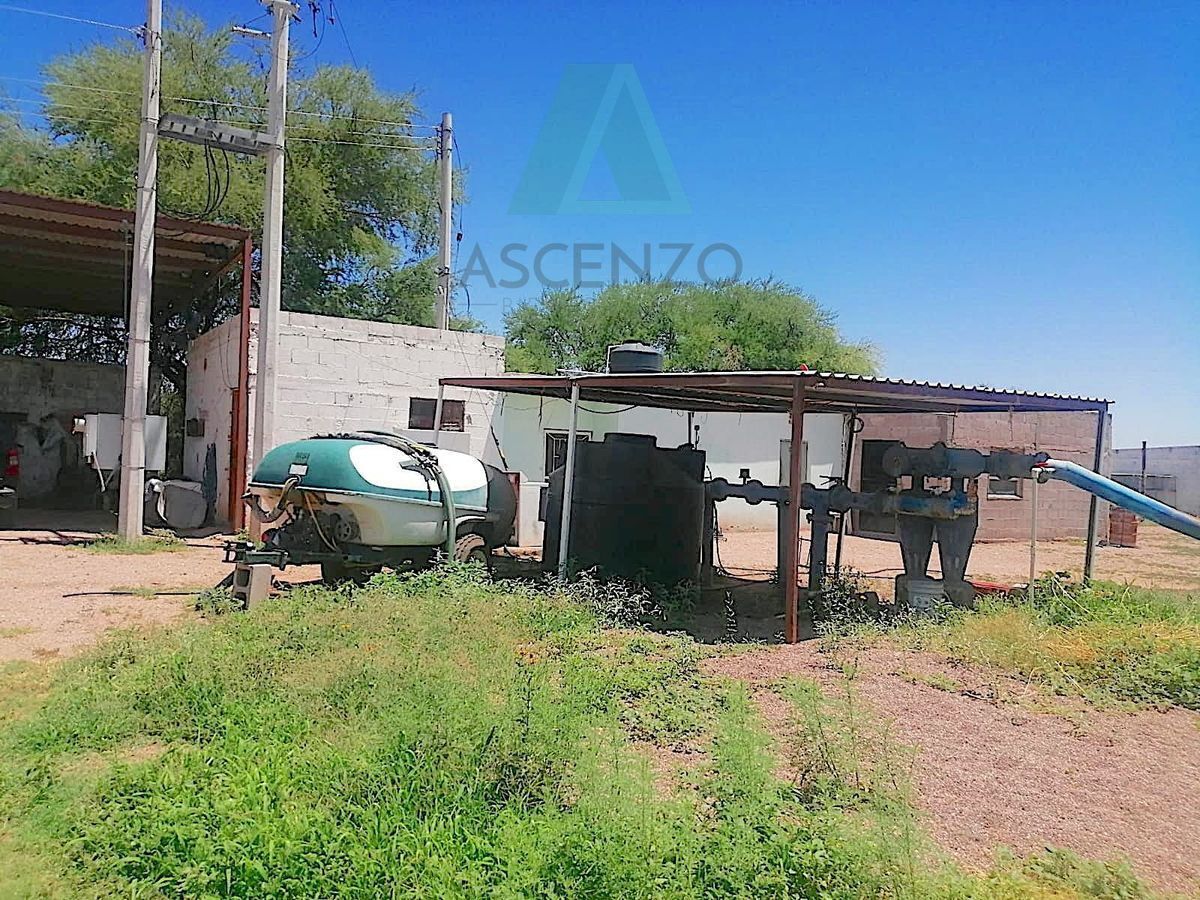 venta-de-nogalera-por-carr-chihuahua---aldama3-33144