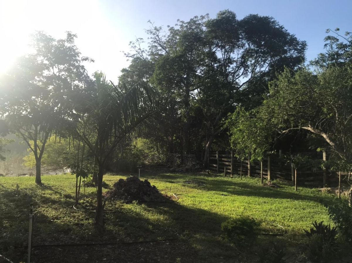 venta-de-rancho-en-buctzotz-yucatn3-17421