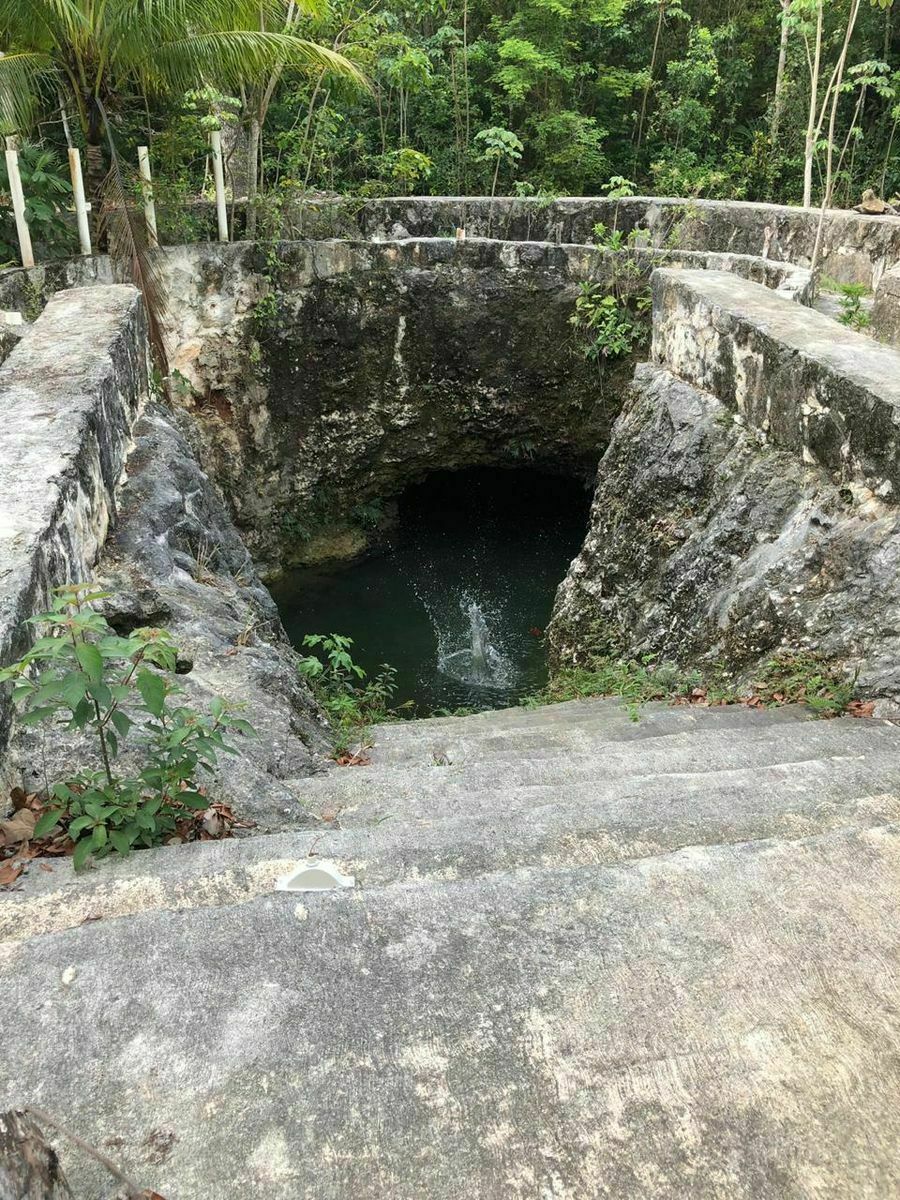 VENTA DE TERRENO 5 HECTAREAS CON 2 CENOTES EN PUERTO MORELOS