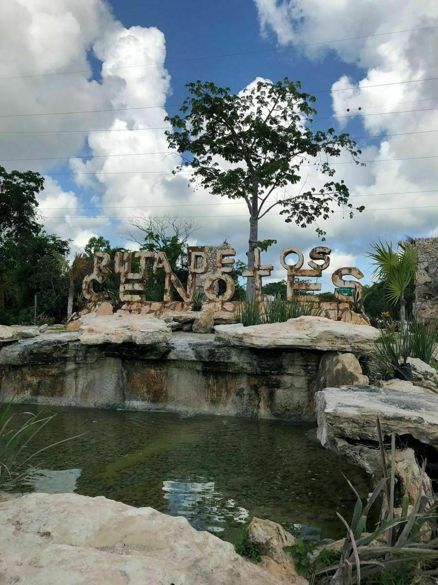 venta-de-terreno-5-hectareas-con-2-cenotes-en-puerto-morelos6-12134