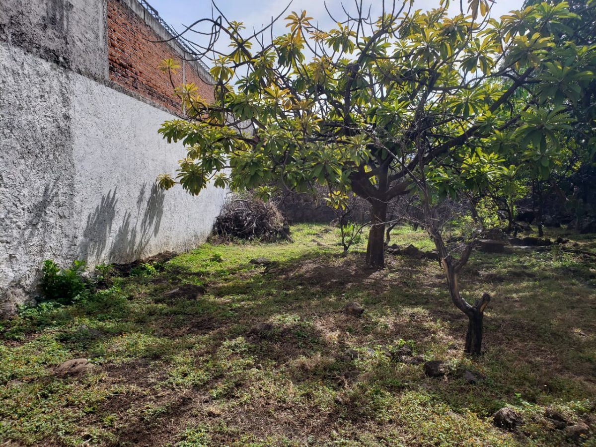 venta-de-terreno-col-3-de-mayo-emiliano-zapata-morelos12-35869