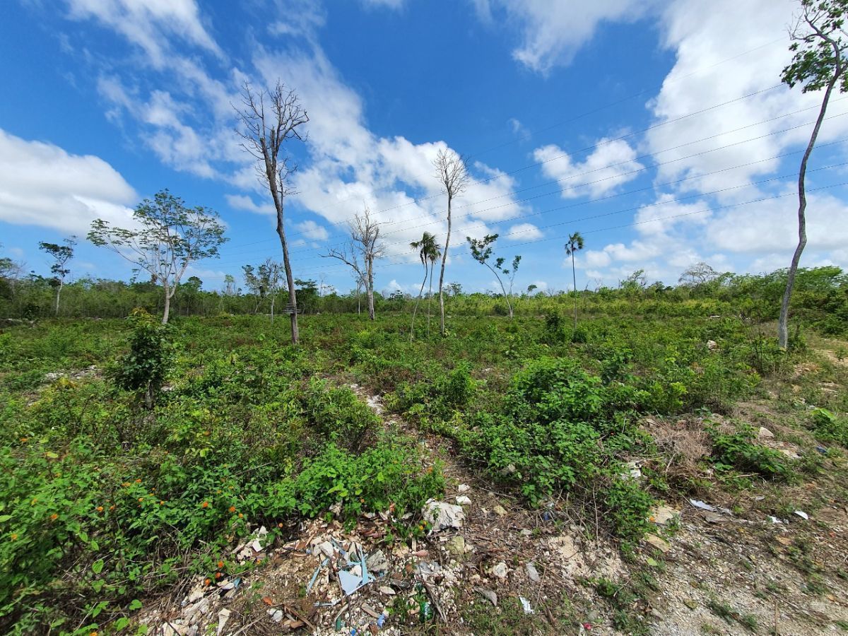 VENTA DE TERRENO EN LA HUAYACAN CANCÚN