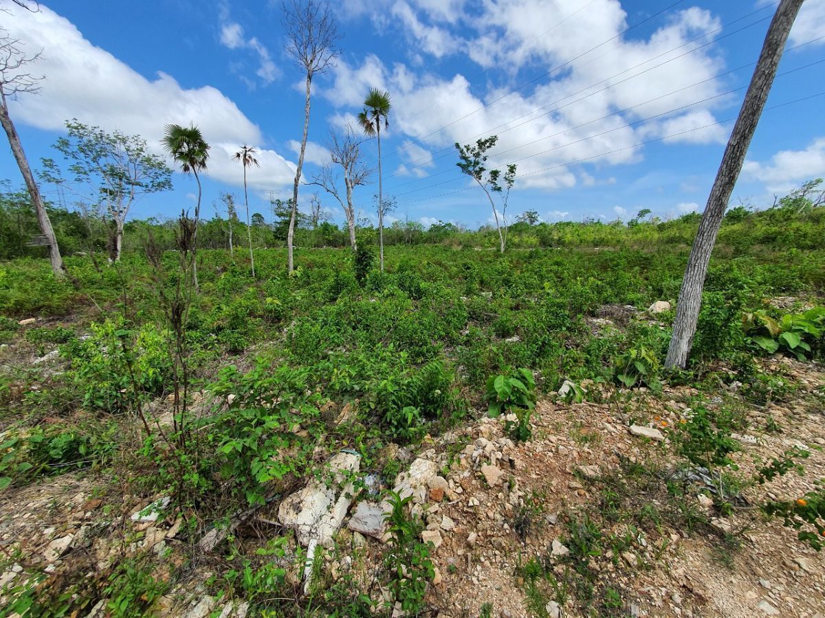 VENTA DE TERRENO EN LA HUAYACAN CANCÚN