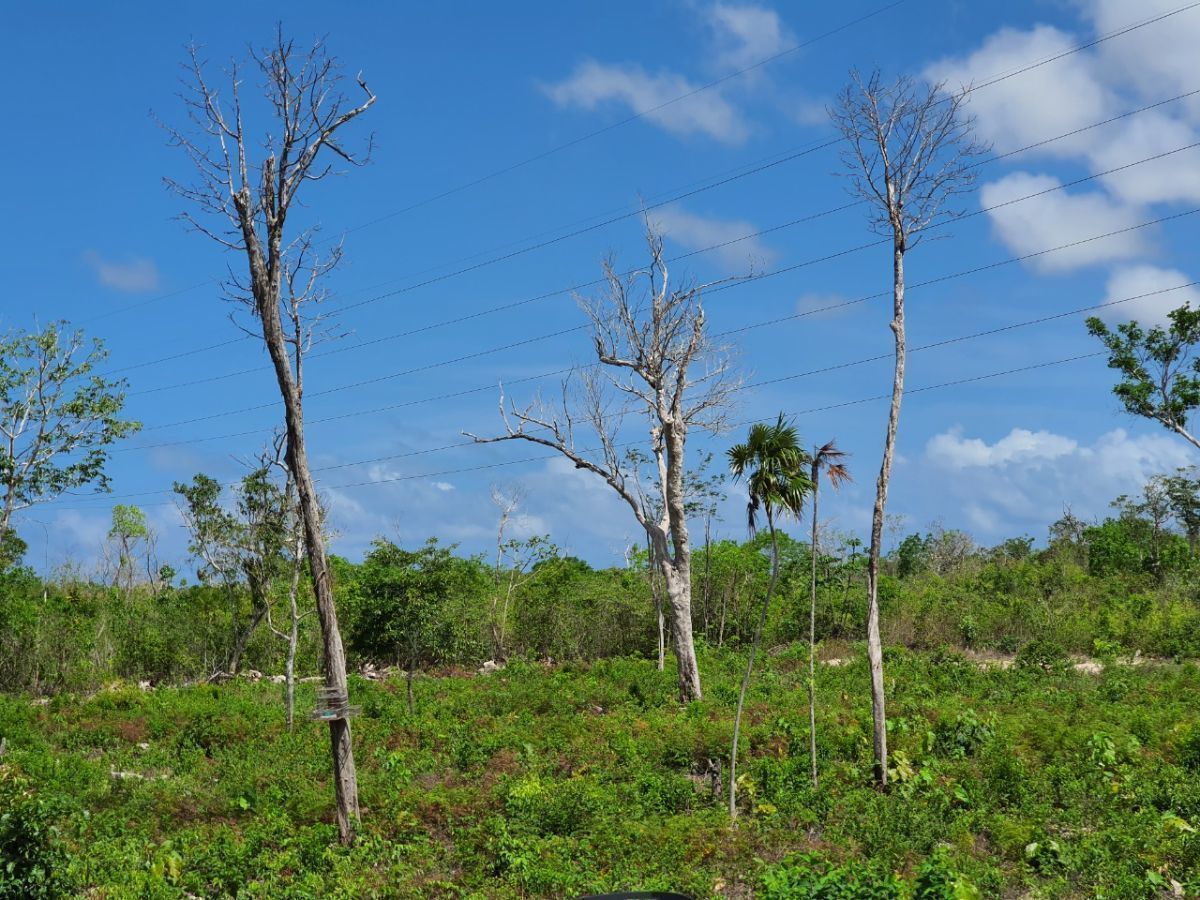 venta-de-terreno-en-la-huayacan-cancn3-12120