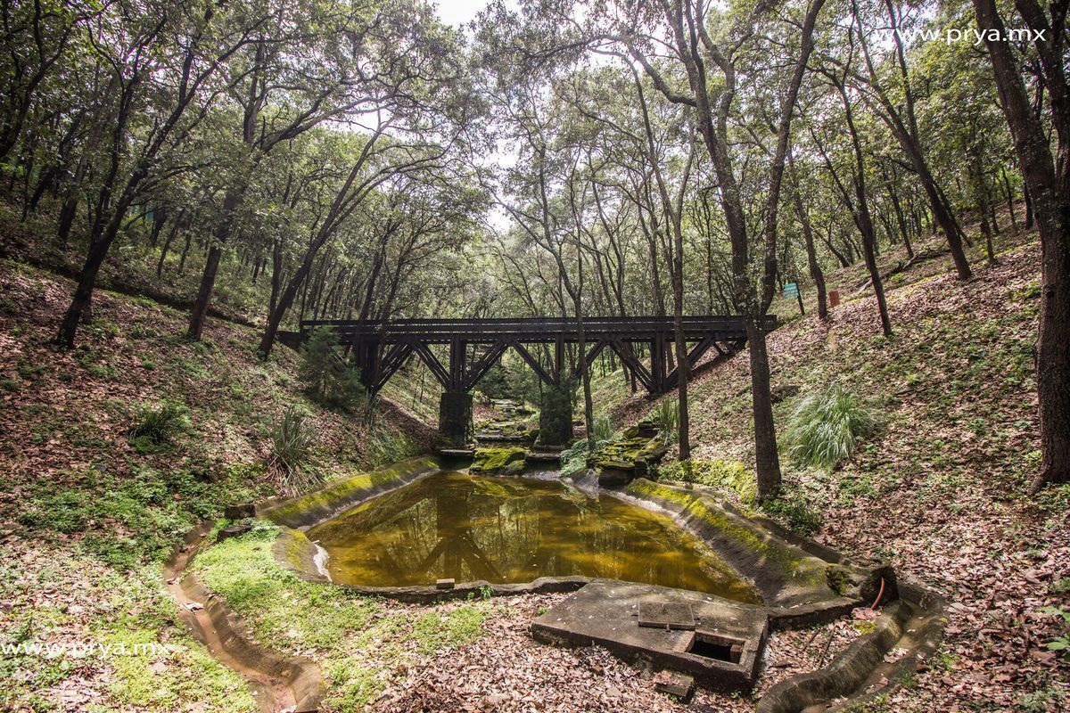 venta-de-terreno-en-reserva-de-los-encinos-arenal-jalisco4-14526