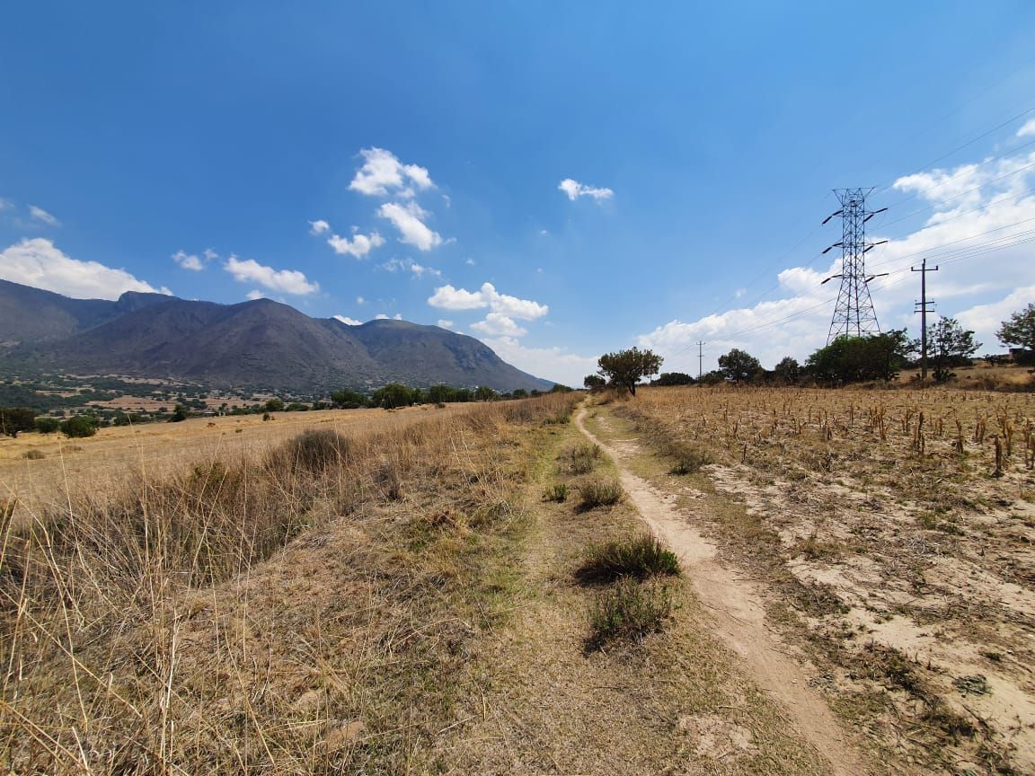 VENTA DE TERRENO EN TEPEAPULCO, HGO. LOS REYES