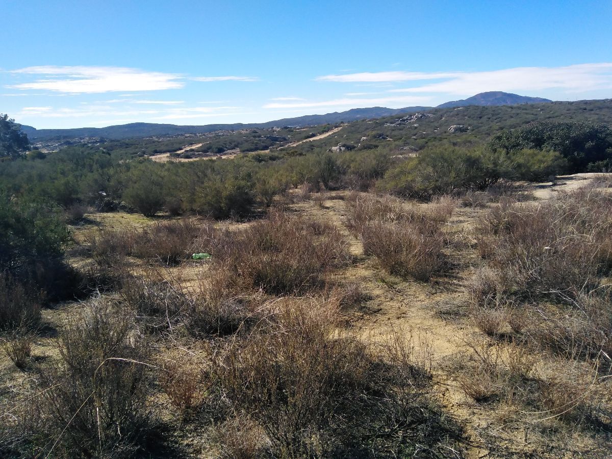 TERRENOS SEMIRUSTICOS  LOMA TOVA ,EL ENCINAL