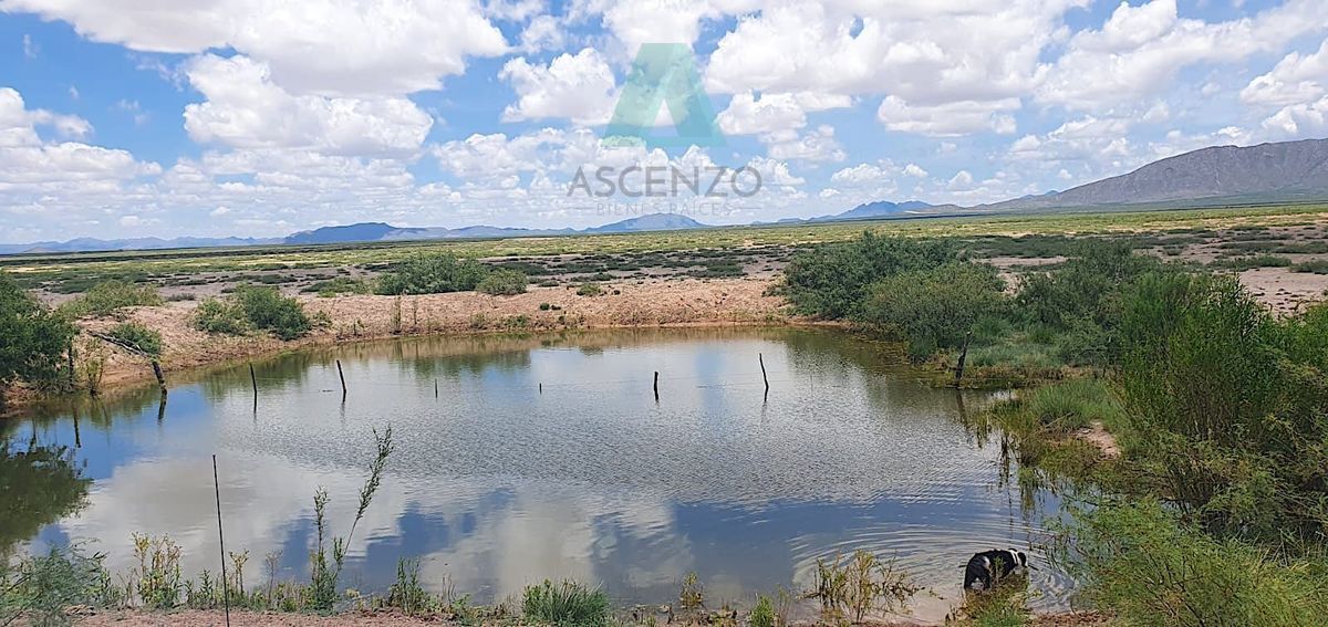 venta-rancho-ganadero-ubicado-en-carr-chihuahua--aldama1-33145