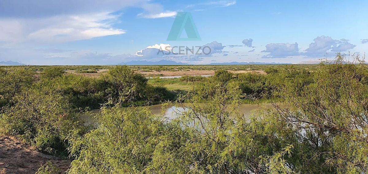 venta-rancho-ganadero-ubicado-en-carr-chihuahua--aldama10-33145