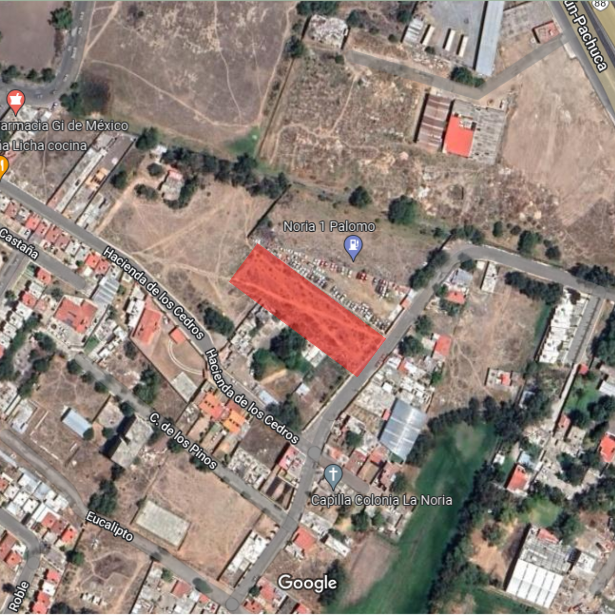 venta-terreno-3000-m2-la-noria-cerca-univ-itla-salida-a-sahagun2-38324