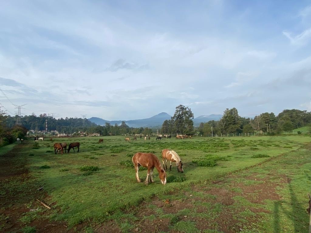 VENTA TERRENO EN  VALLE DE BRAVO