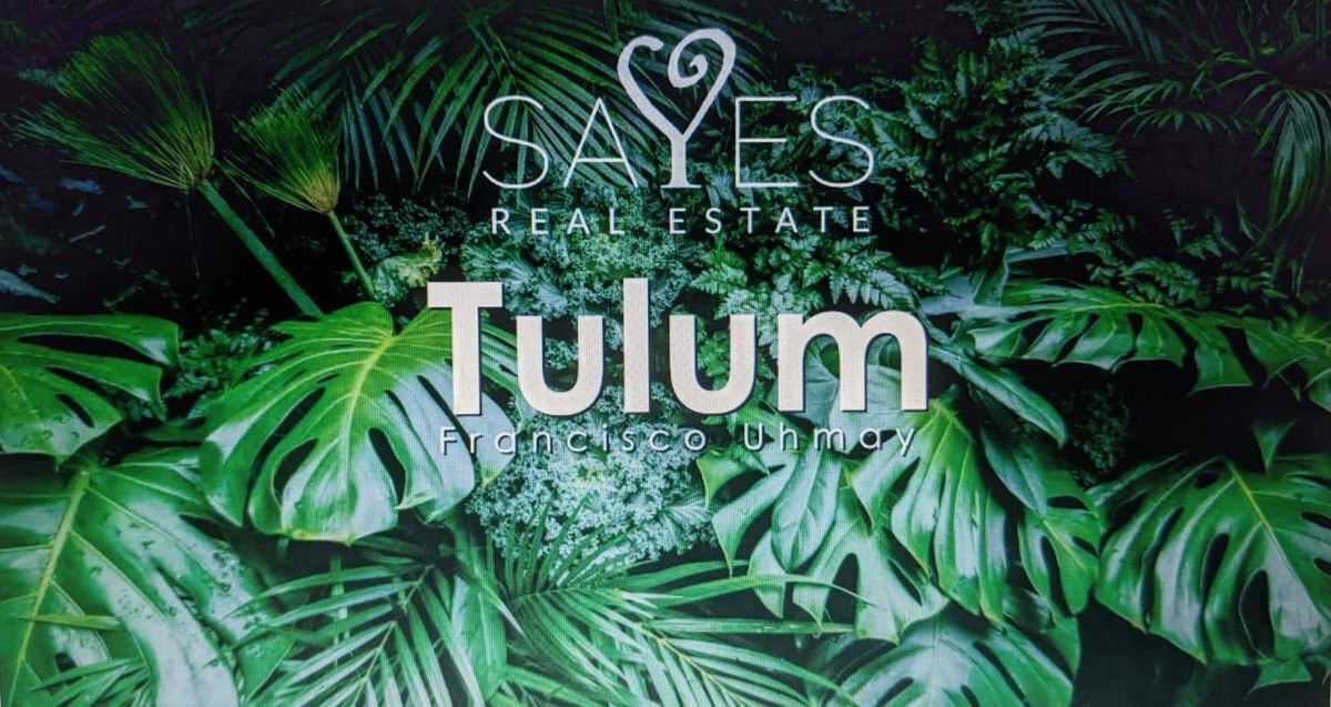 Visionario: Invierte en el nuevo crecimiento de Tulum en Francisco Uh May